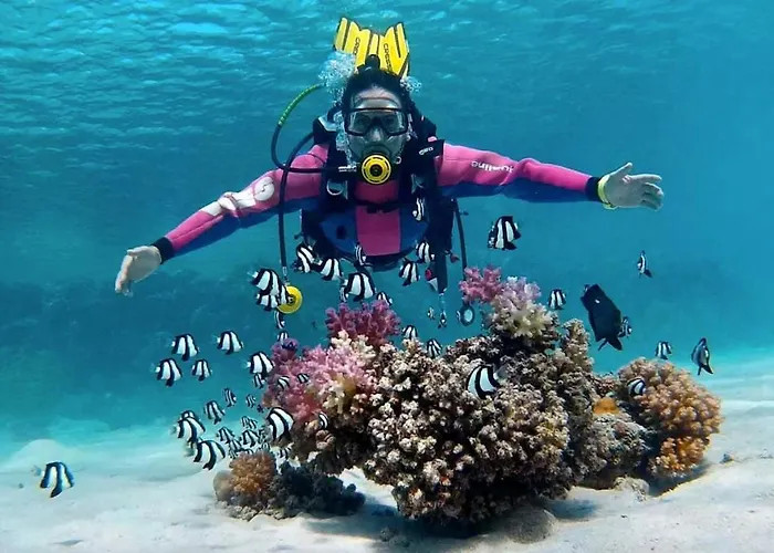 Deep Ashri & Dive Club *