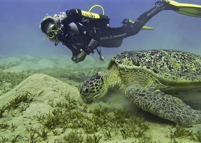 Deep Ashri & Dive Club * مرسى علم