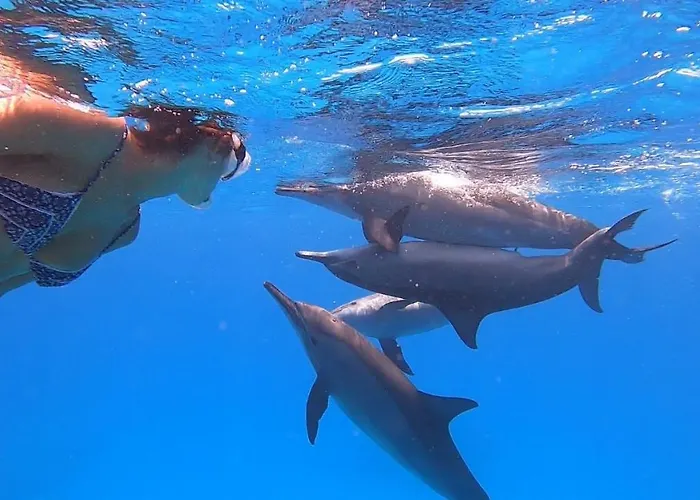 شقة Deep Ashri & Dive Club *