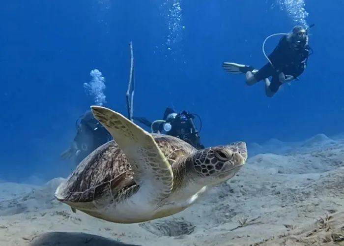 Deep Ashri & Dive Club *